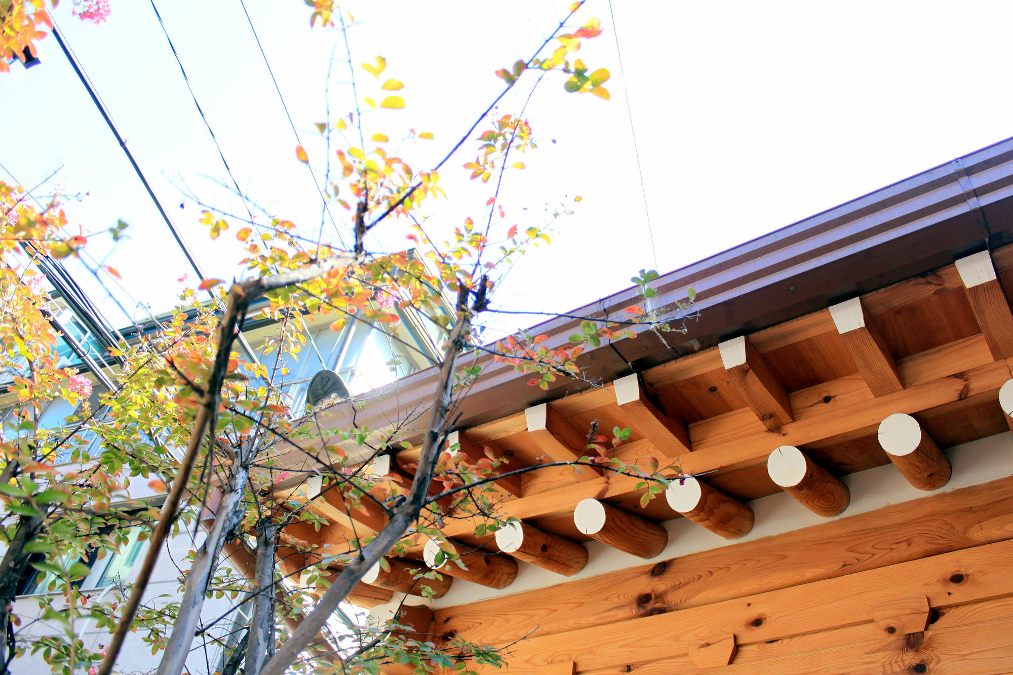Hanok 24 Guesthouse Gyeongbokgung Seul Exterior foto